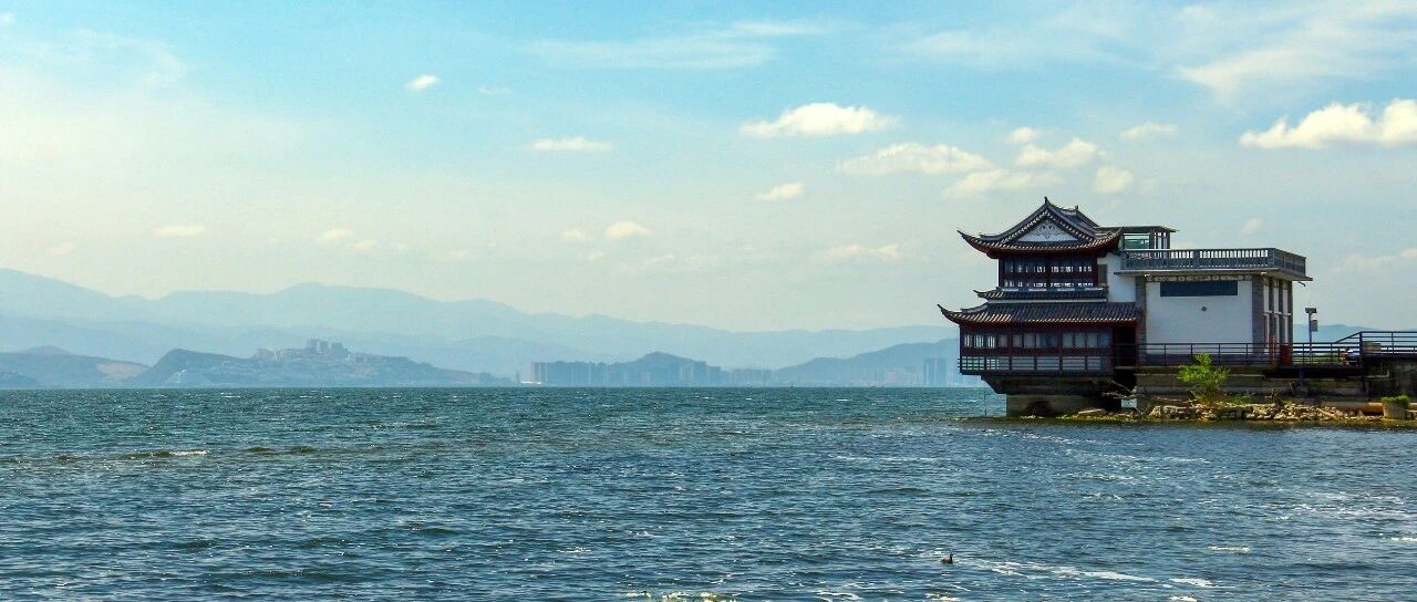 COGI 控制删除按钮增强 - 封面图