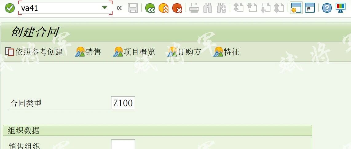 VA41销售合同创建 BAPI - 封面图