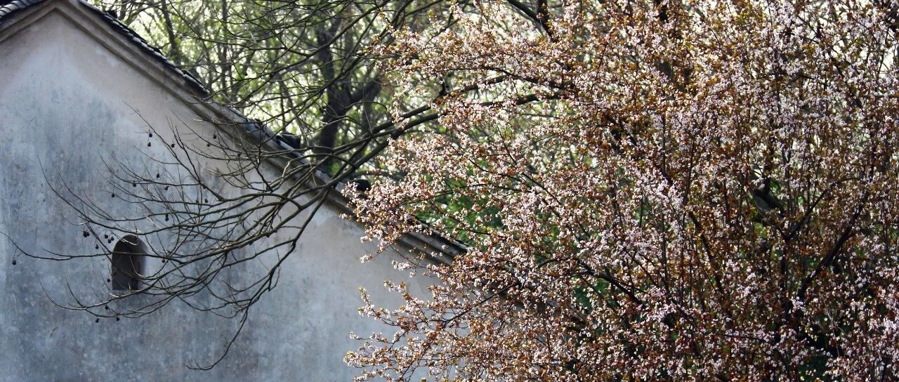 VA21创建报价单 - 封面图