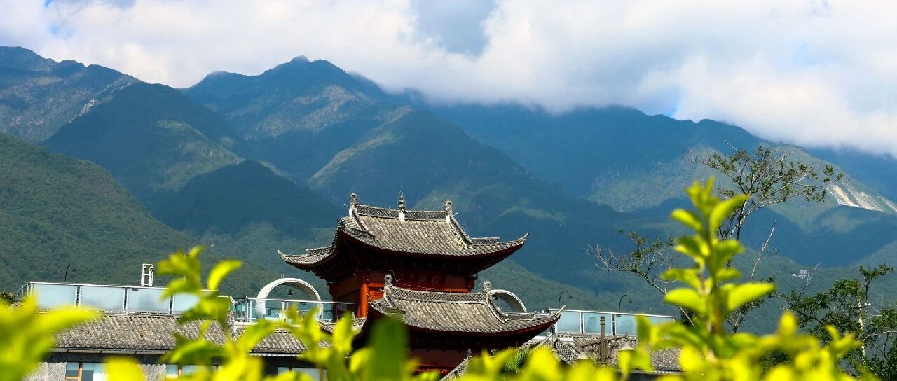 VA01VA02VA03VA05销售订单根据权限隐藏价格 - 封面图