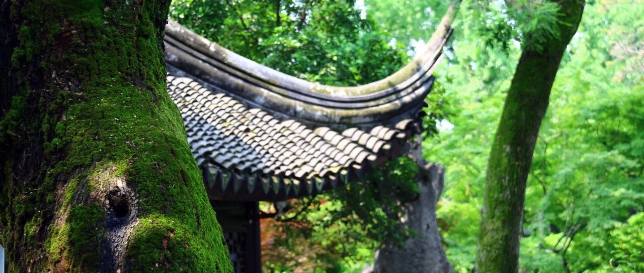 物料主数据屏幕增强2标准表方式 - 封面图
