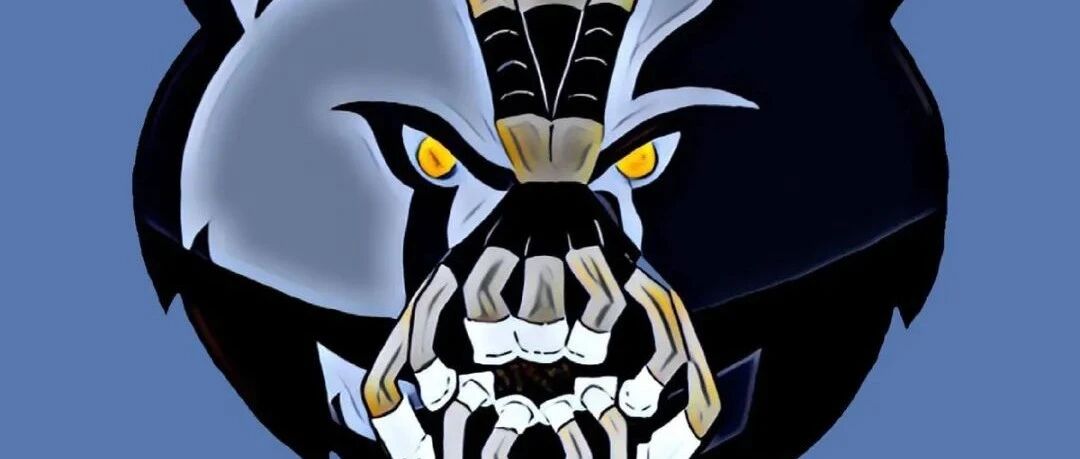 提前颁奖吧！肉装库里！这小子，谁啊？