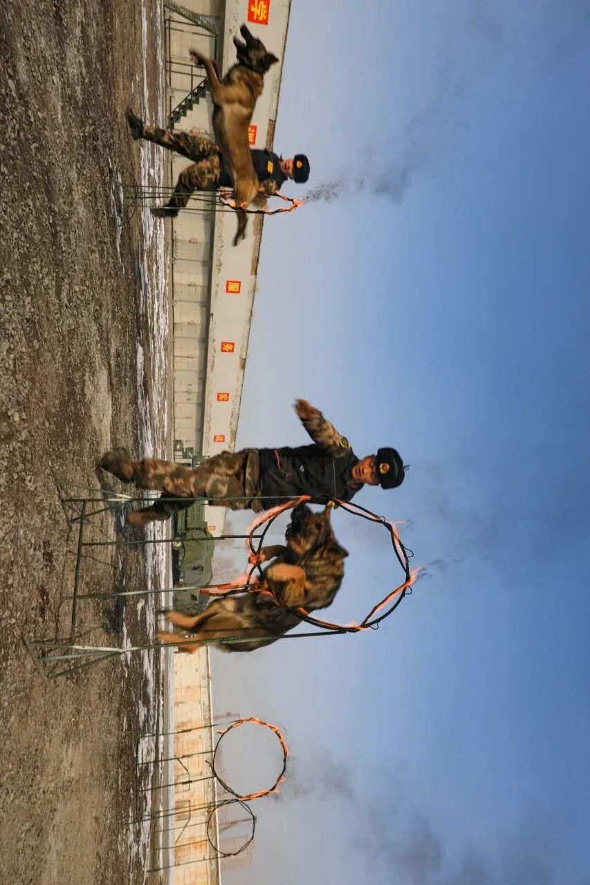 张力十足!热血练兵瞬间震撼来袭 - 人民武警 - 微信公众号文章