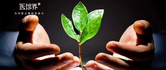 我的中医缘｜一个IT老兵的中医创业故事
