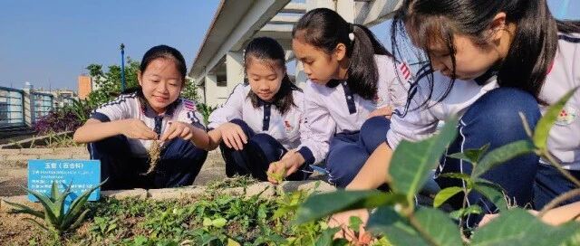 从百草园到示范小学！这家三甲医院研发了中医药儿童读本
