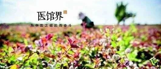 中草药的智慧，是我对中医难以割舍的情怀