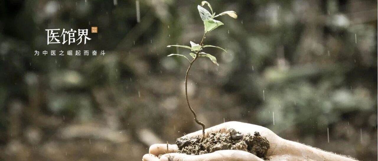 当代中医，既有发展，也有倒退