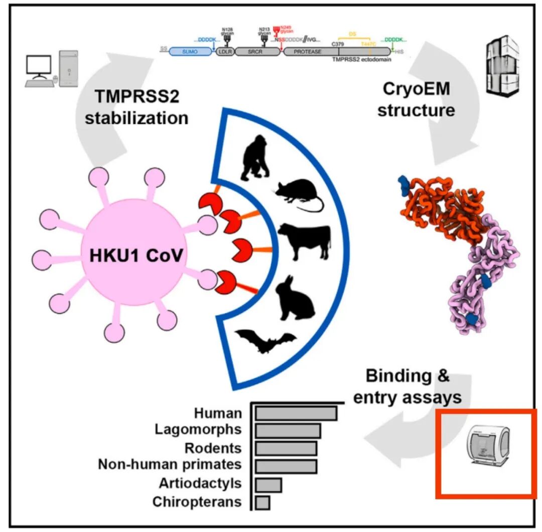 三篇背靠背《Cell》，都離不開(kāi)Octet...