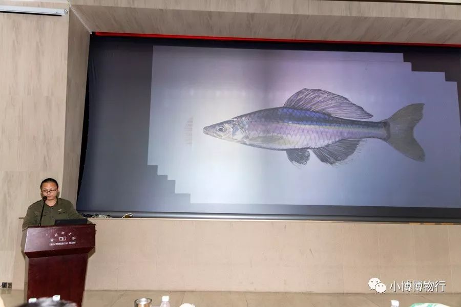 热爱生活热爱世间万物_热爱世间的生物_热爱世间万物下一句