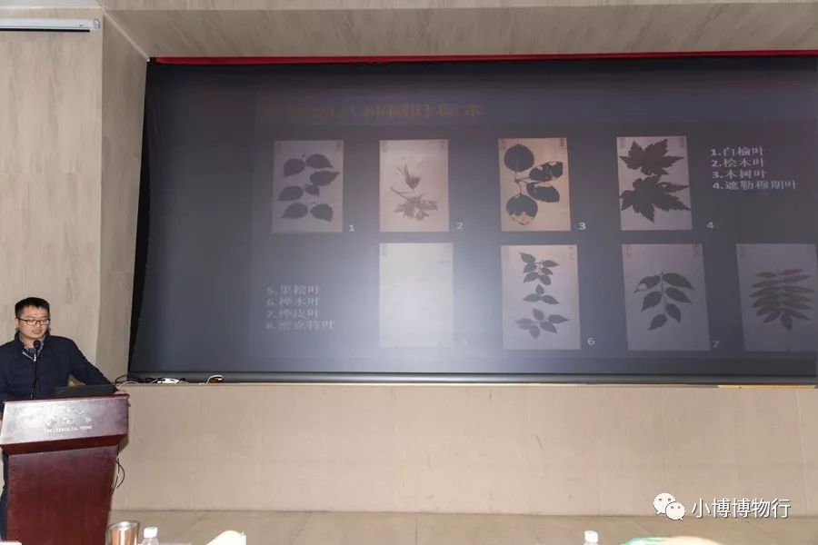 热爱世间的生物_热爱生活热爱世间万物_热爱世间万物下一句