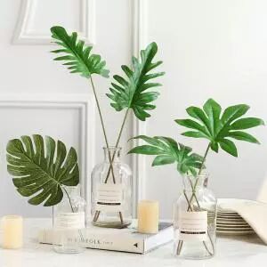 只要掌握这8种养植物方法，你也能从菜鸟分分钟变成老司机！