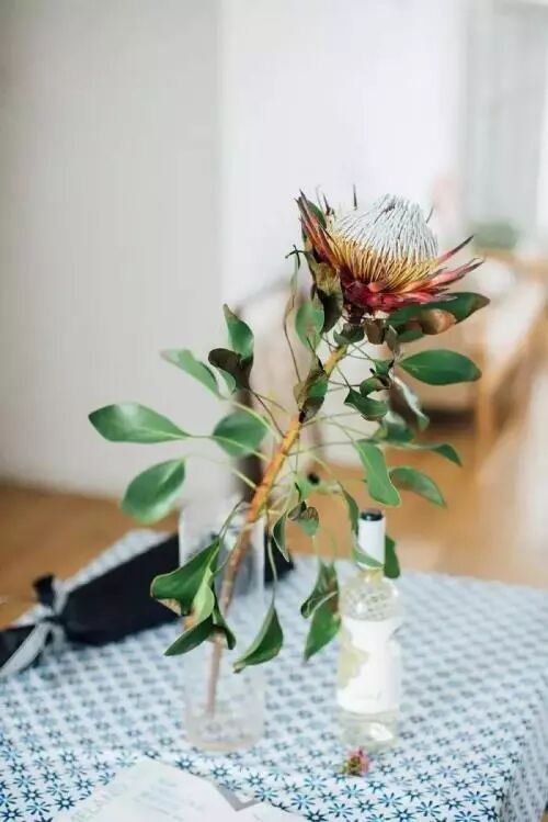 买回来的鲜花该怎么养？怎么才能让它保持久一点？