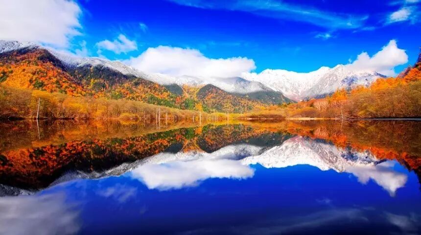 17日本最全赏红叶指南 要去看红叶的 再不准备就晚啦 自由微信 Freewechat