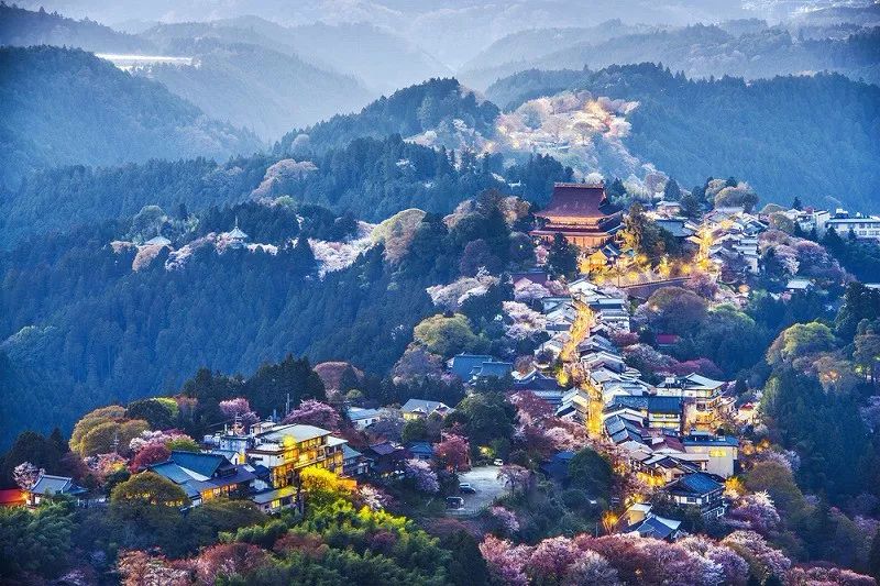 2019最強拼假攻略出爐，去日本就要這麼玩～ 旅行 第20張
