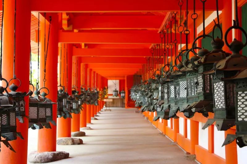 日本春節神社指南 | 來一波祈福神社推薦，新的一年歐氣滿滿～ 旅遊 第9張