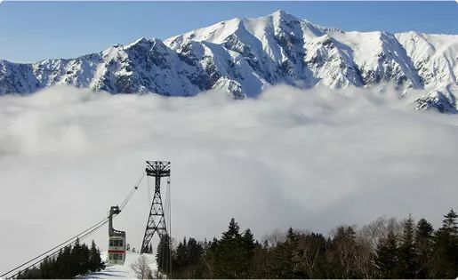 去日本這九個絕景勝地，賞花、節慶、雪景一次到齊！ 旅遊 第28張