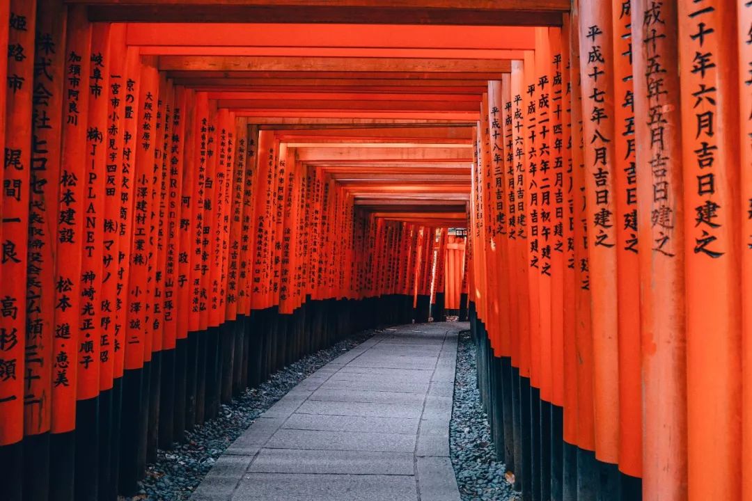 日本春節神社指南 | 來一波祈福神社推薦，新的一年歐氣滿滿～ 旅遊 第5張