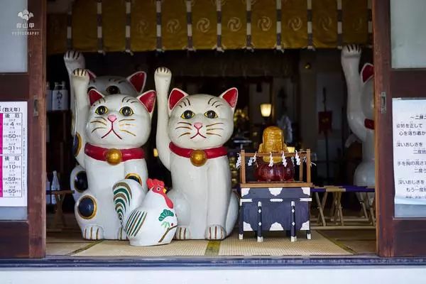 日本春節神社指南 | 來一波祈福神社推薦，新的一年歐氣滿滿～ 旅遊 第42張