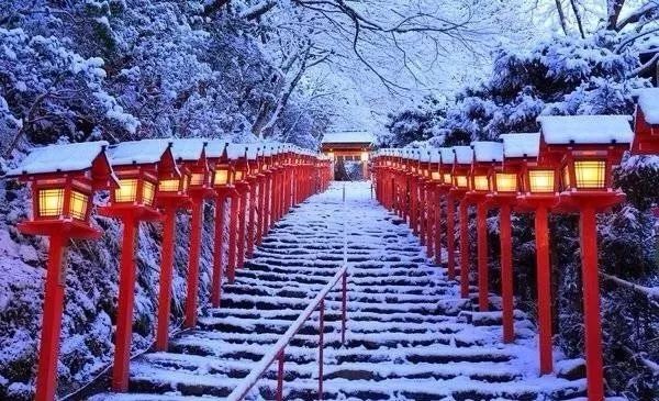 日本春節神社指南 | 來一波祈福神社推薦，新的一年歐氣滿滿～ 旅遊 第25張