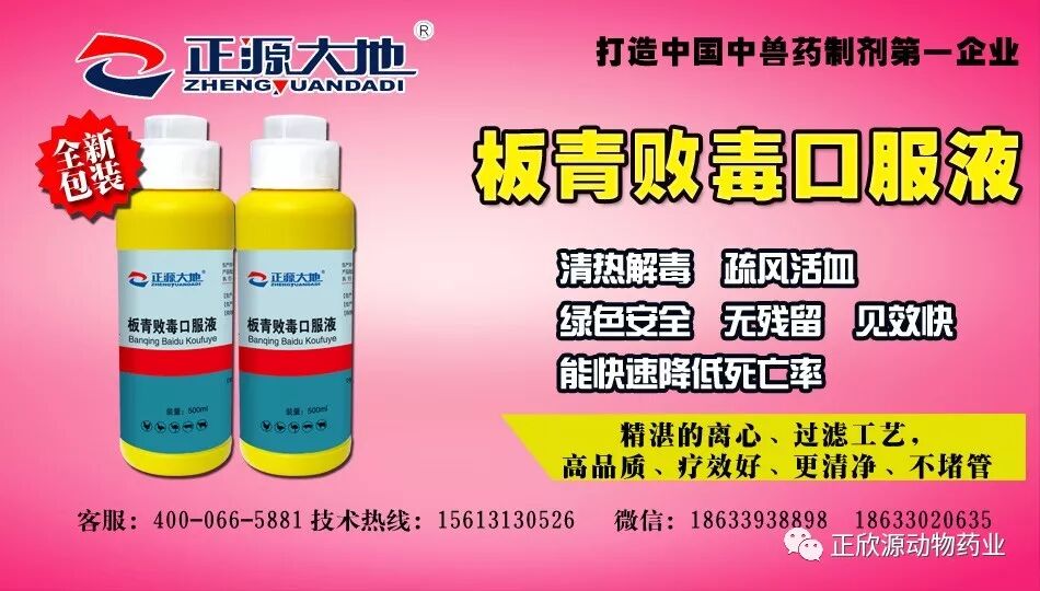 新包装 | 板青败毒口服液——清热解毒,疏风活血