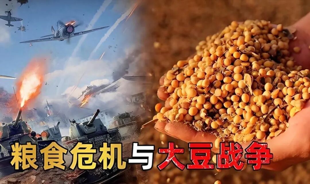 美大豆收获季最大买家中国未下一单,中国花二十年时间给美国挖巨坑! 中美大豆战: 当年..