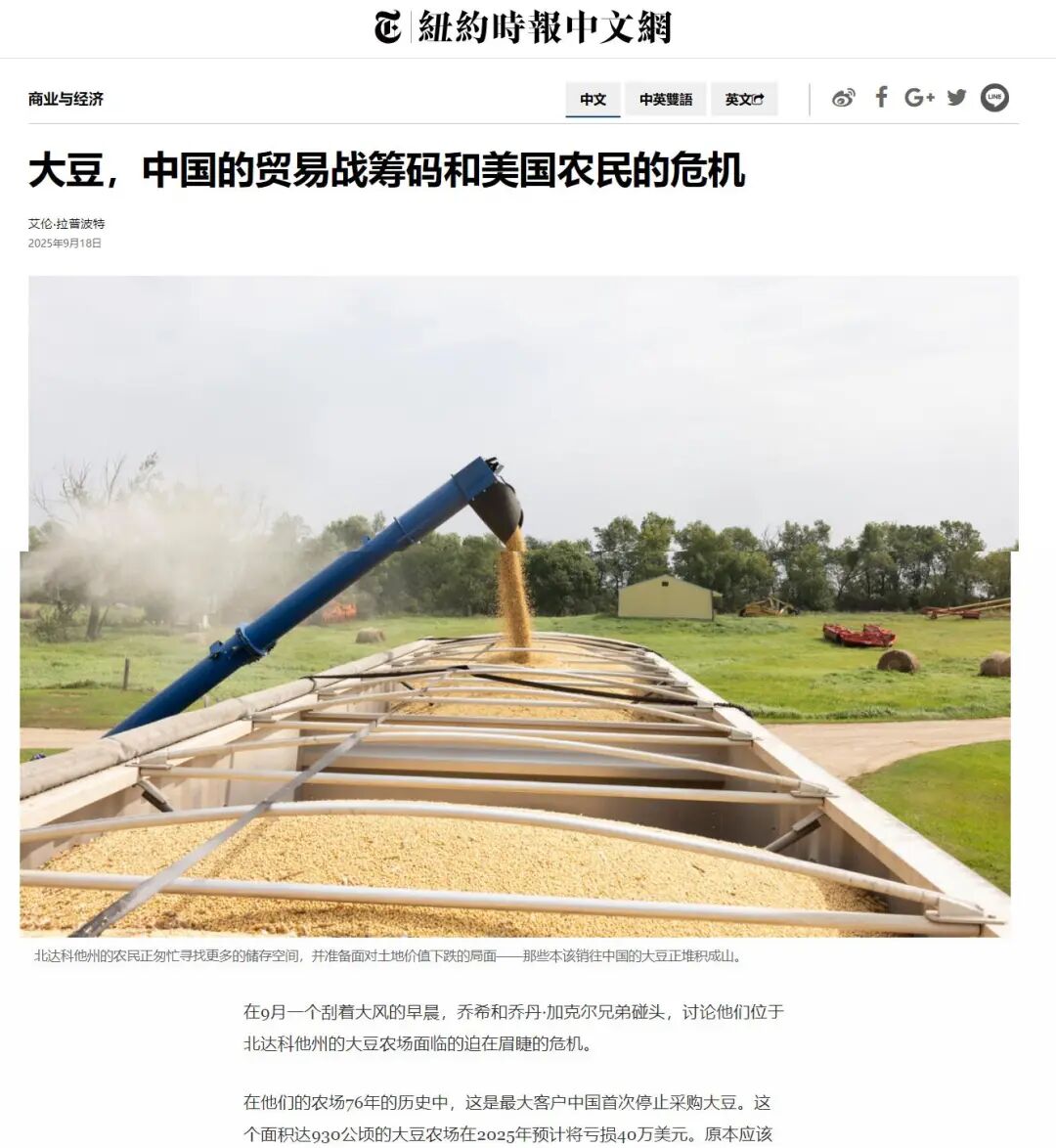 美大豆收获季最大买家中国未下一单