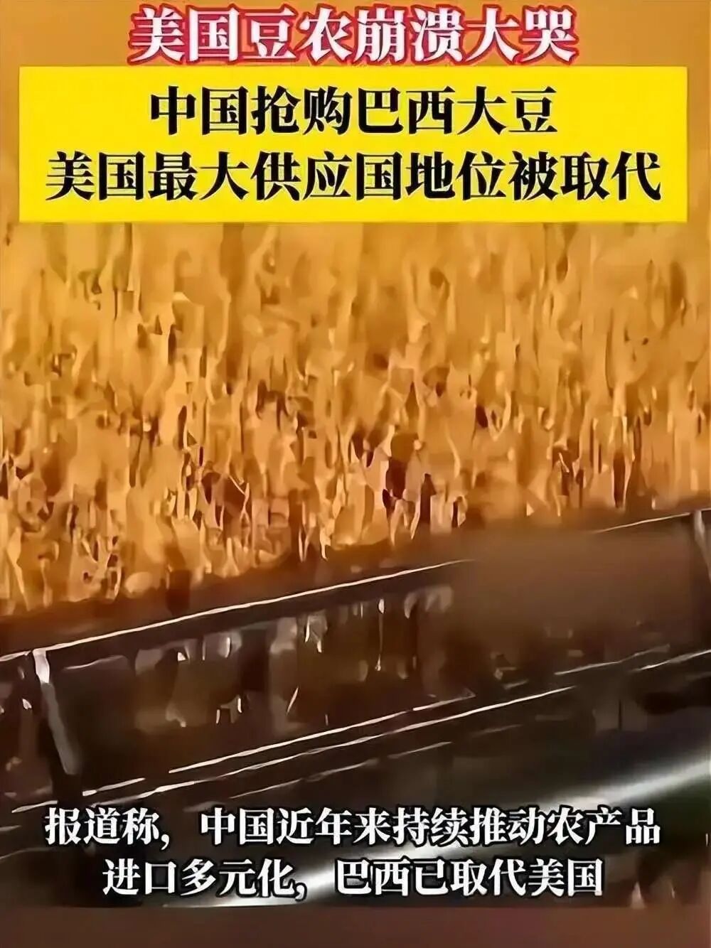 美大豆收获季最大买家中国未下一单