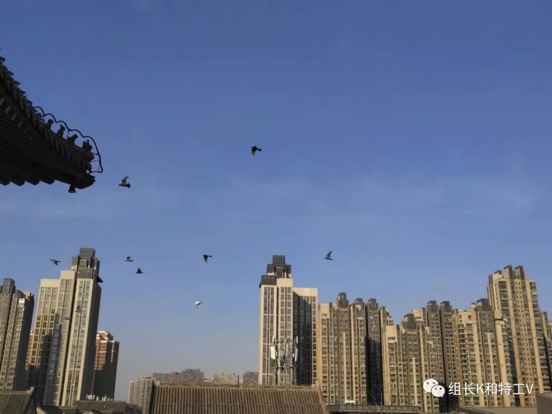 微信图片_20190104134442.jpg