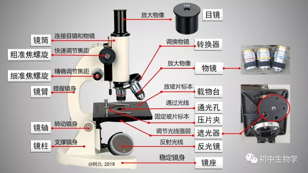光学显微镜使用方法分哪五步（【视频教程】光学显微镜的使用方法）光学显微镜使用方法分哪五步操作，不要告诉别人，