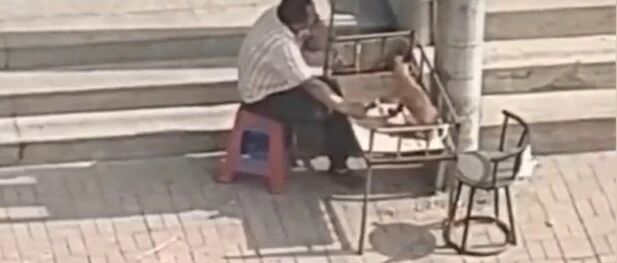 狗子生病打吊针，大叔在大太阳下全程握狗腿陪护…