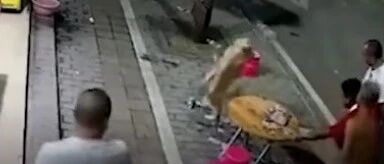 狗狗在路边打架，把人家的饭桌都给掀翻啦…