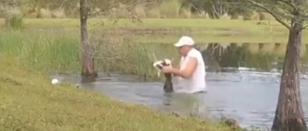 为救爱犬，美国老翁竟然徒手掰开鳄鱼嘴巴…