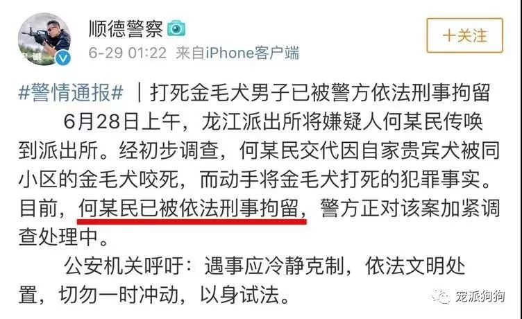 廣東順德金毛被打致死，施暴者已被刑拘，但這應該要還不夠解恨吧！ 寵物 第7張