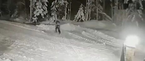 为保护10岁小主人，狗狗扑向狼，不幸身亡！~