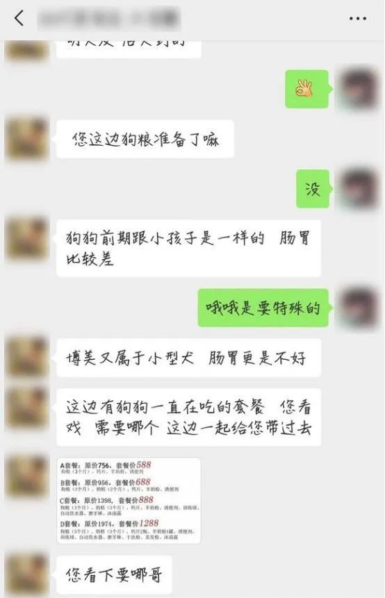 貽害無窮的「星期狗」，讓人不堪其憂… 寵物 第7張