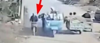 意外！三轮车上的狗狗把过路老人拽倒在地…