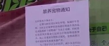 青岛一小区全面禁养宠物，狗主人强烈反对…