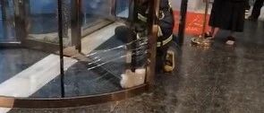 未拴绳狗狗被卡在酒店旋转门里，消防员砸门救狗，酒店：已协商由狗主人赔偿损失