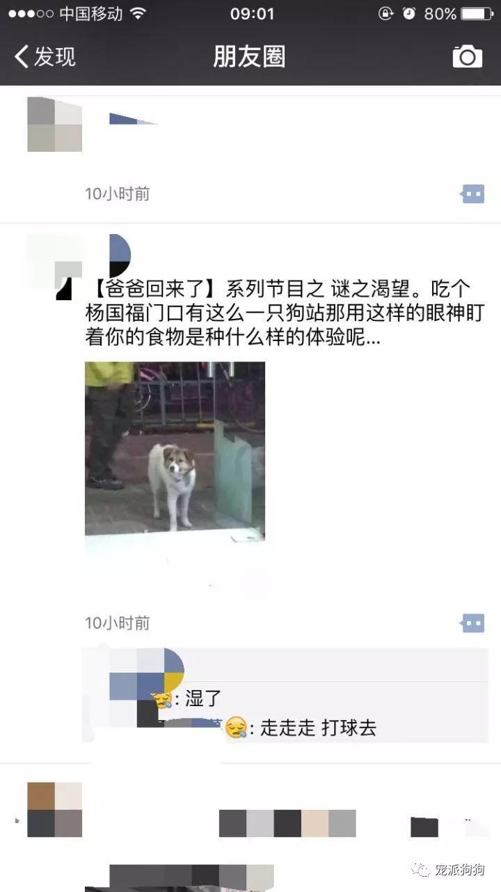 這樣的狗，遇見你會收養嗎？ 萌寵 第5張