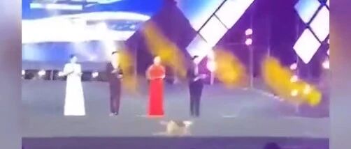 狗狗乱入晚会现场直播间，观众都觉得特别有趣…
