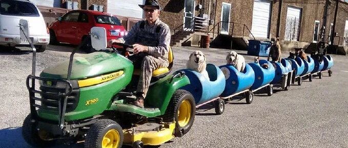 太拉风！老爷爷带一群流浪狗坐小火车遛弯儿…