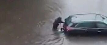 暴雨中车辆被困积水里，路过的一位铲屎官和她的狗狗一起来帮忙推车，暖心！~