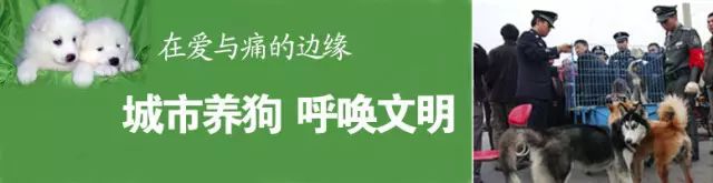 小區不讓養狗？我就問你憑什麼？ 萌寵 第13張