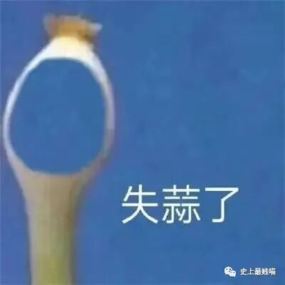 【爆笑】“这又是什么神奇的相亲神操作啊？” 哈哈哈哈哈思路很清晰没毛病！（视频/组图） - 86
