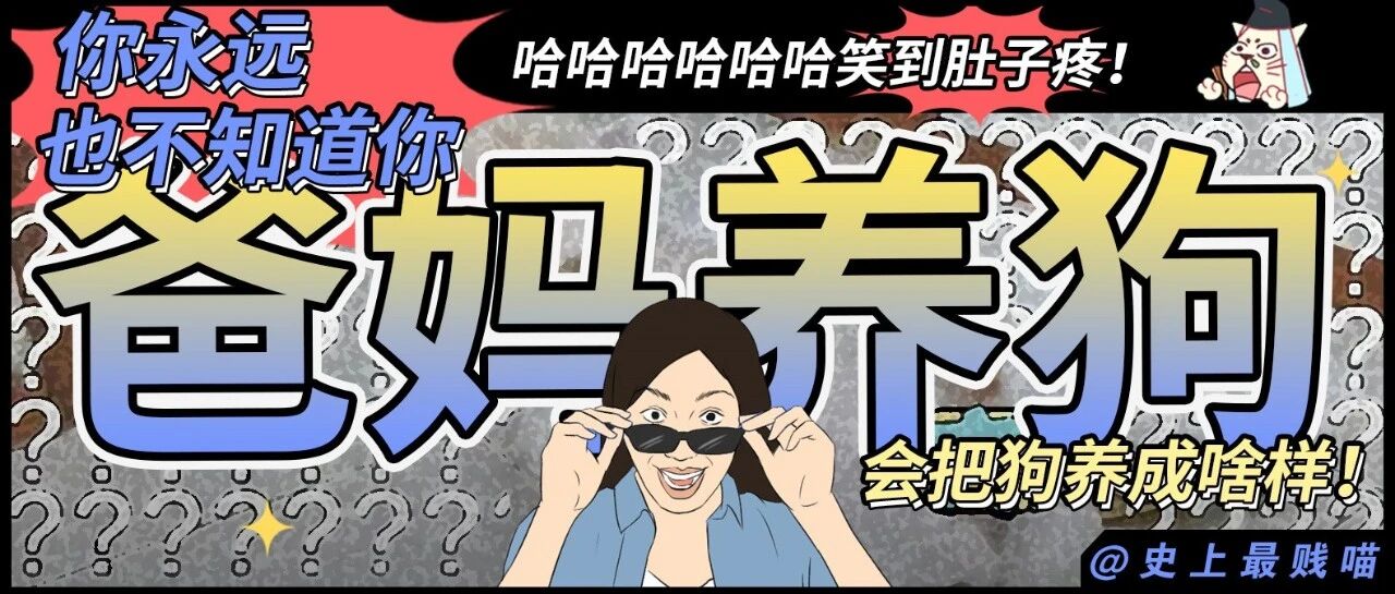 “你永远也不知道你爸妈会把狗养成啥样！” 哈哈哈哈哈哈笑到肚子疼！