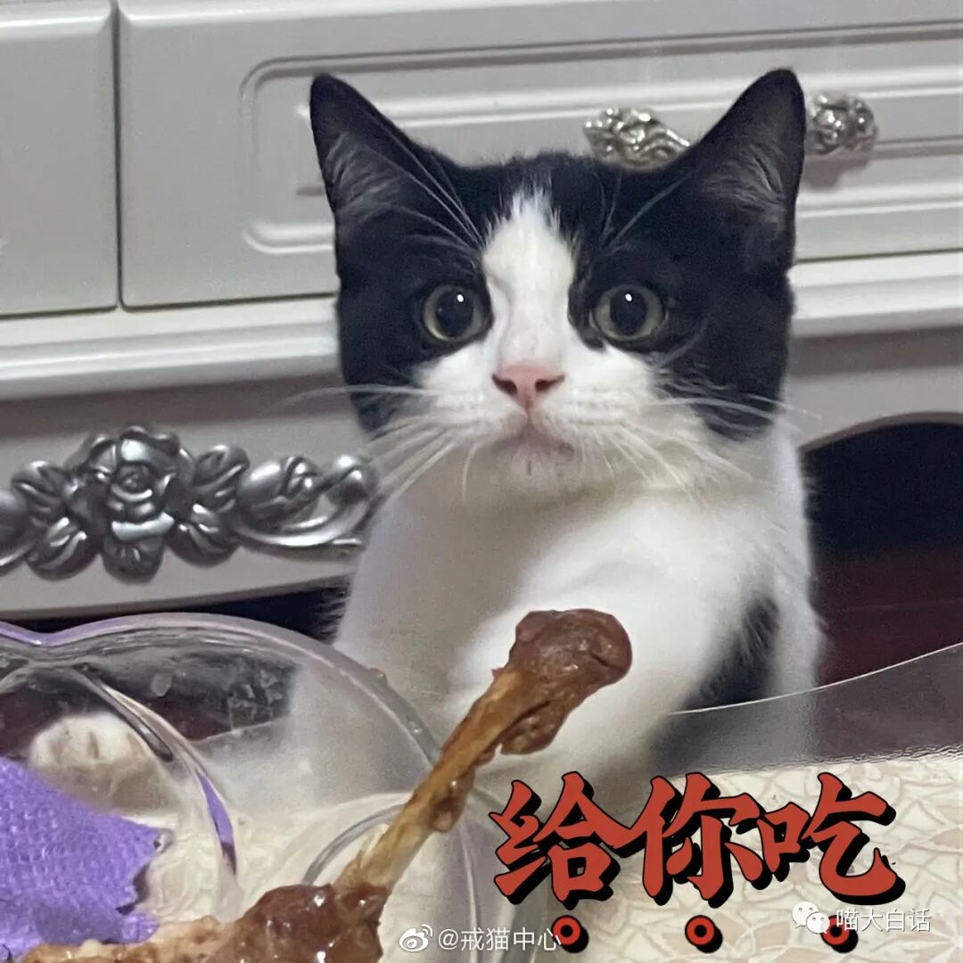 【爆笑】