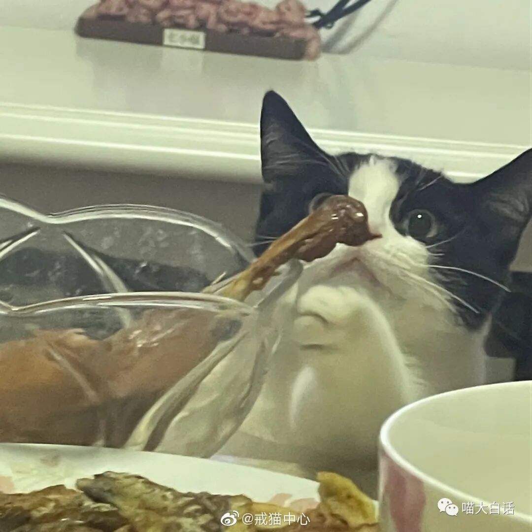 【爆笑】