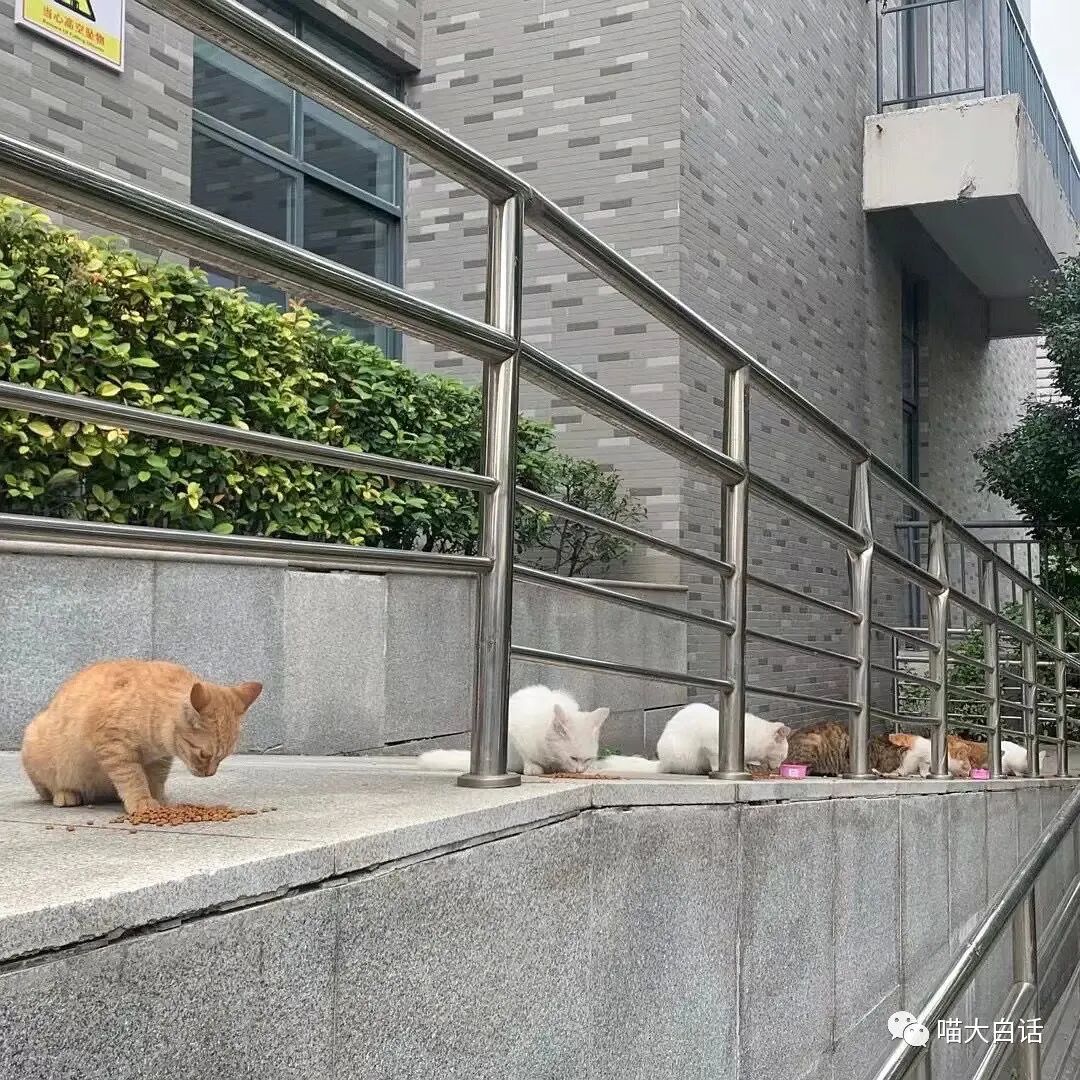 【爆笑】
