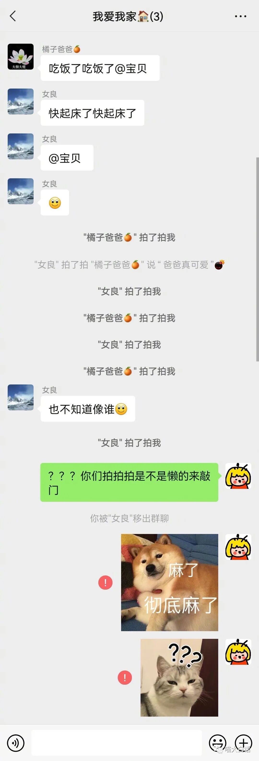 【爆笑】