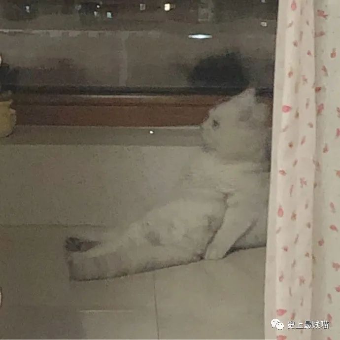 “当钢铁直男遇到明星后的反应...” 哈哈哈哈哈没见过这么好笑的对话！